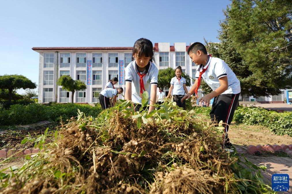2018最新白菜网平台大全